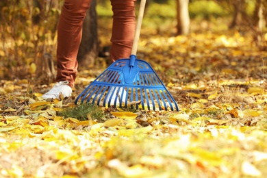 Photo of Man cleaning up fallen leaves with rake on sunny day. Autumn work