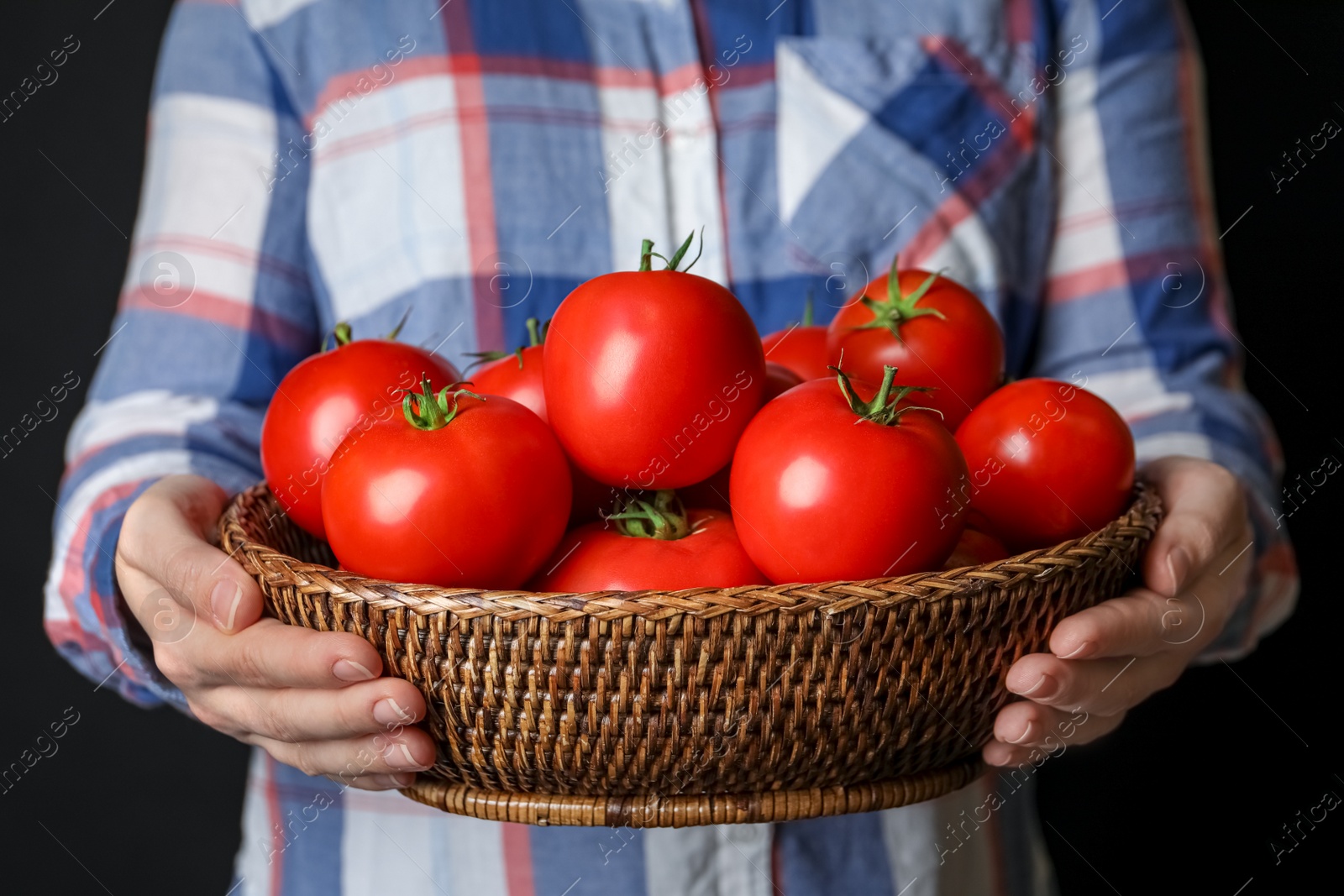 Photo of Woman with basket of ripe tomatoes on black background, closeup