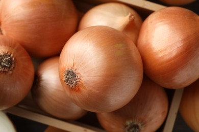 Photo of Whole yellow onions on table, top view