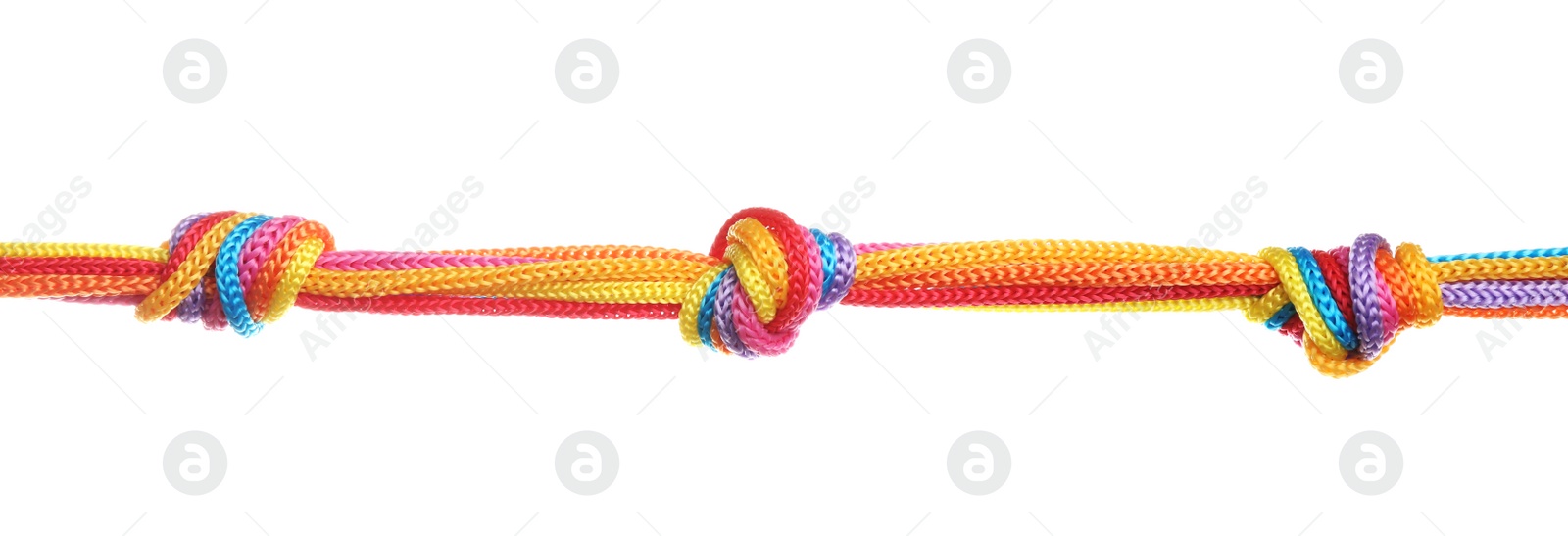 Photo of Colorful ropes tied together with knots isolated on white. Unity concept