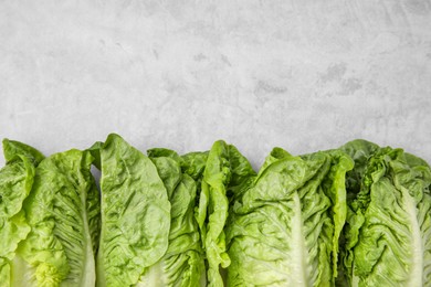 Photo of Fresh green romaine lettuces on light grey table, flat lay. Space for text