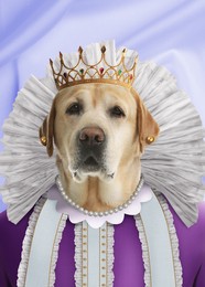 Image of Cute dog dressed like royal person against light blue background