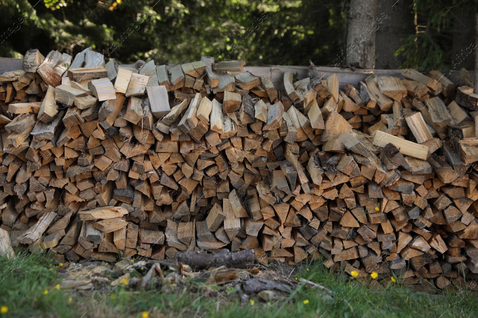 Photo of Stack of cut firewood on green grass outdoors