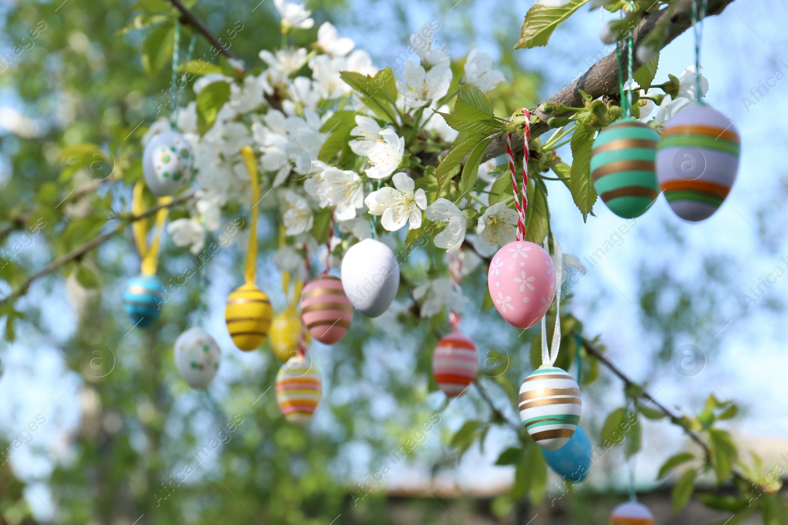 Photo of Beautifully painted Easter eggs hanging on blooming tree outdoors