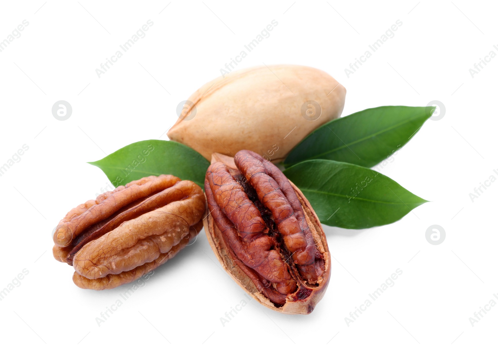 Photo of Pecan nuts and leaves on white background