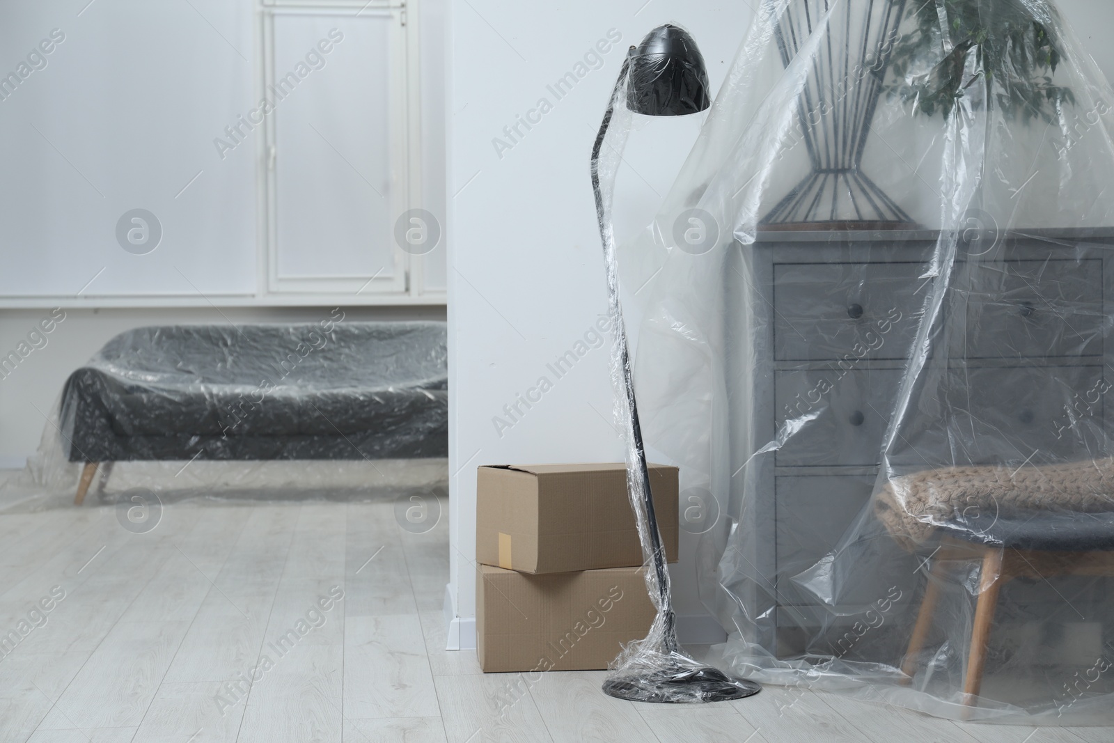 Photo of Modern furniture, houseplant covered with plastic film and boxes at home