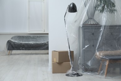 Modern furniture, houseplant covered with plastic film and boxes at home