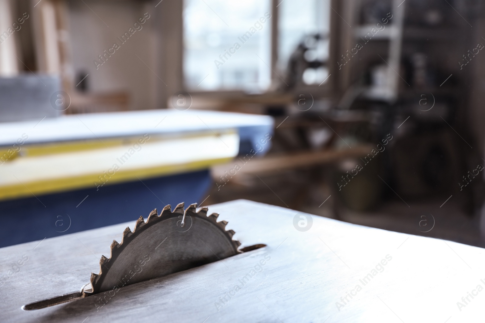 Photo of Carpenter's working place with modern circular saw indoors, space for text