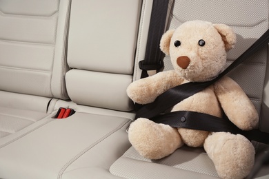 Photo of Cute stuffed toy bear buckled in backseat of car. Space for text