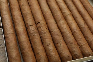 Many expensive cigars in box on table, closeup