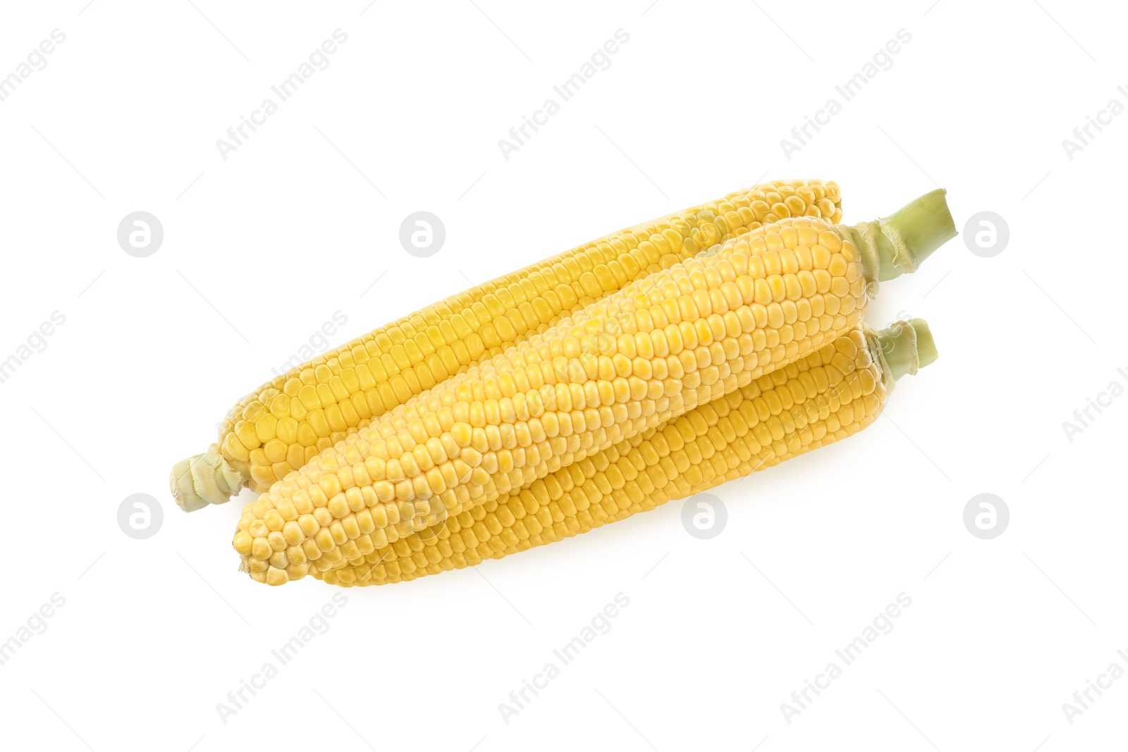 Photo of Tasty fresh corn cobs isolated on white, top view