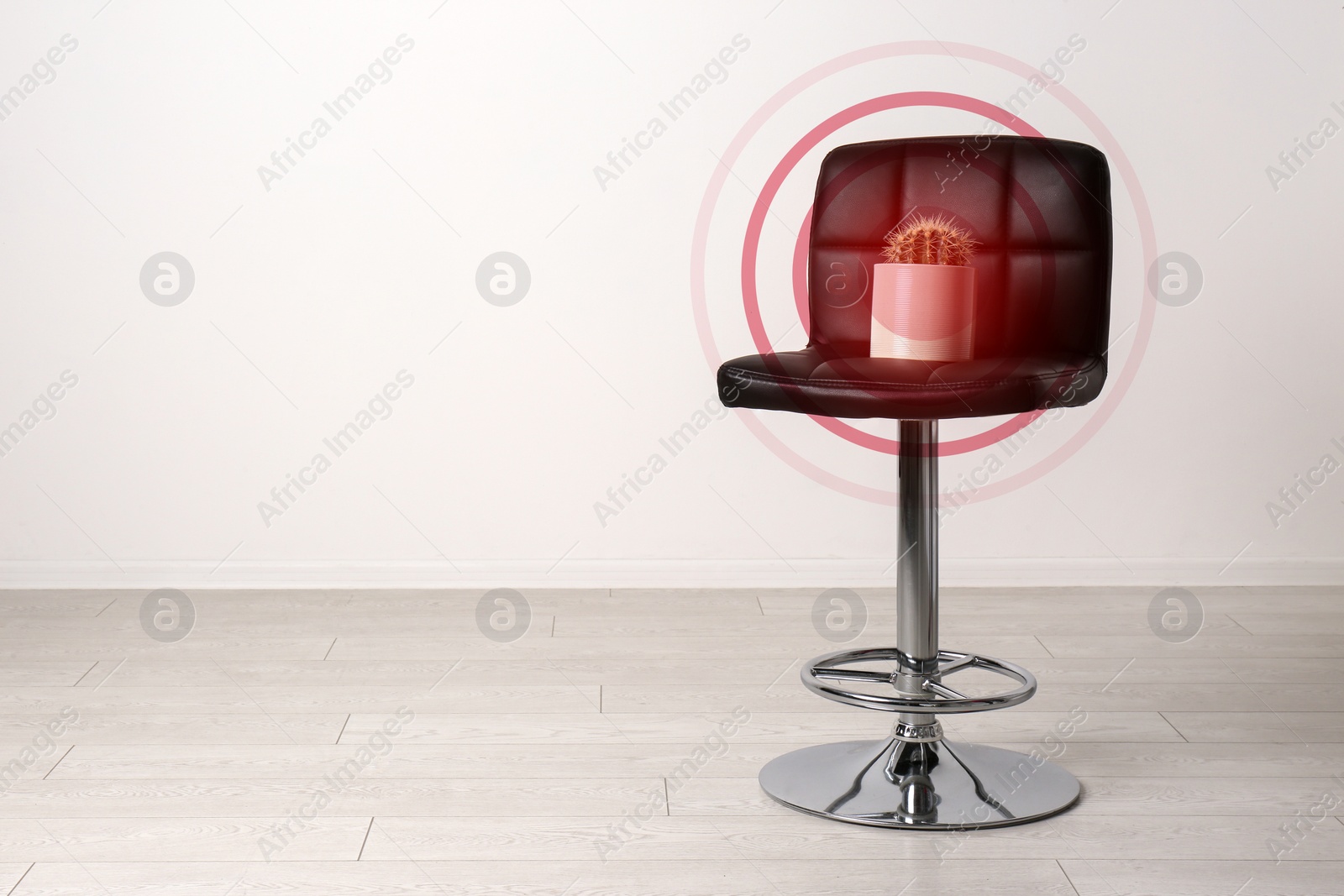 Image of Hemorrhoid concept. Chair with cactus near white wall, space for text