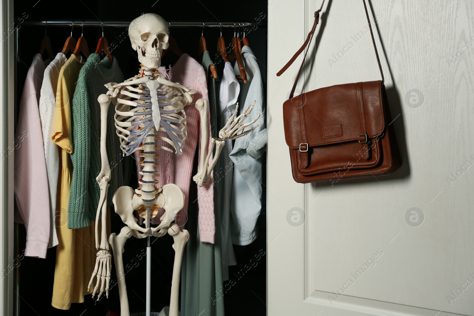 Photo of Artificial human skeleton model among clothes in wardrobe