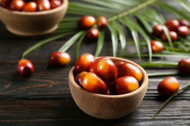 Image of Palm oil fruits in bowl on black wooden table, closeup