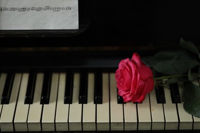 Photo of Beautiful pink rose and musical notes on piano