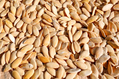 Photo of Pile of cucumber seeds on wooden background, closeup. Vegetable planting