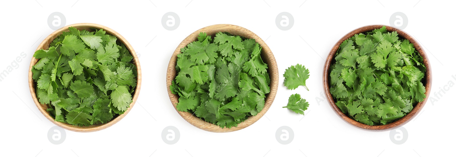 Image of Set with fresh coriander on white background, top view. Banner design