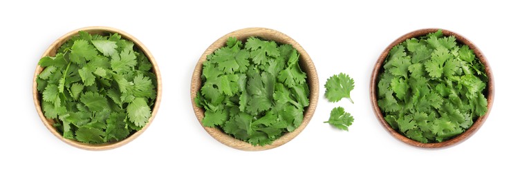 Image of Set with fresh coriander on white background, top view. Banner design