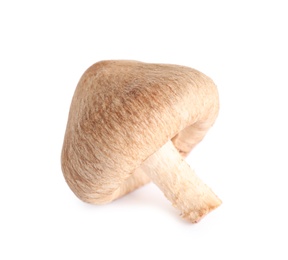 Photo of Fresh wild mushroom on white background. Edible fungi
