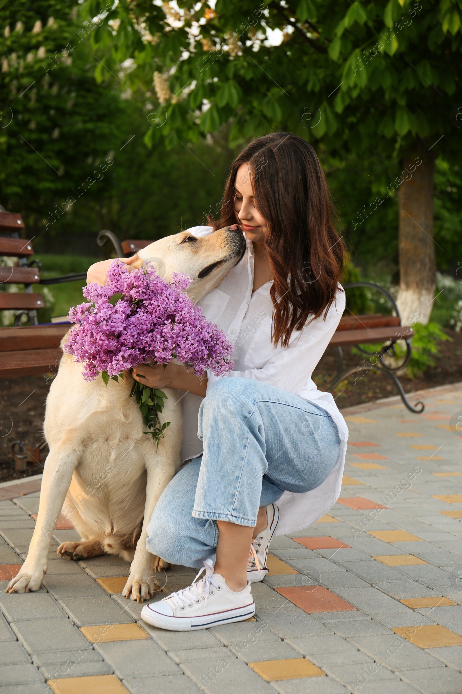 Photo of Woman with her pet and lilac flowers in park