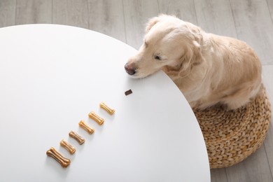 Photo of Cute Golden Retriever at table with dog biscuits in kitchen, above view
