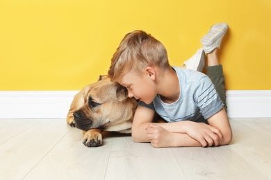 Photo of Cute little child with his dog near color wall