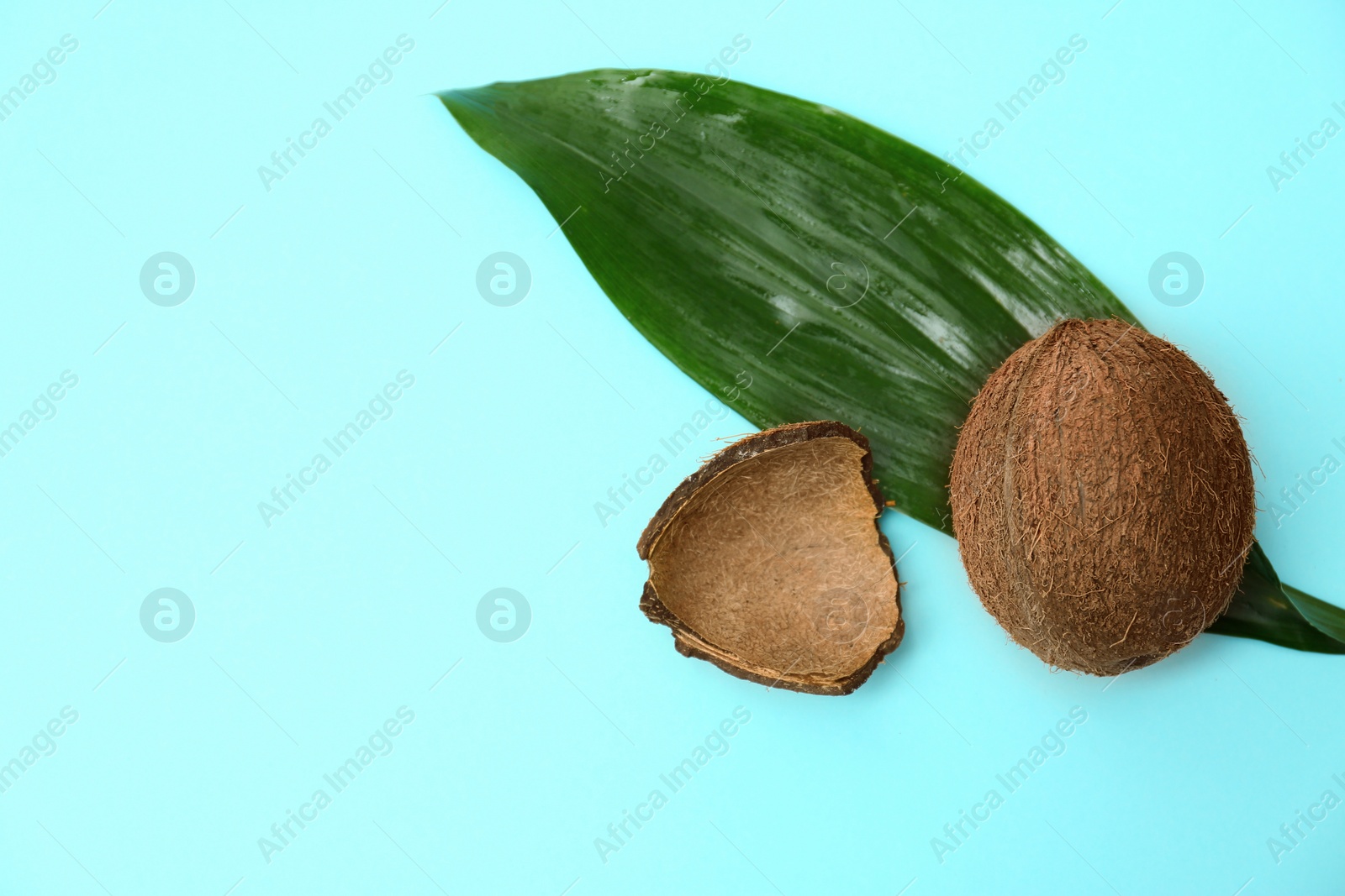 Photo of Fresh coconut and palm leaf on light blue background, flat lay. Space for text