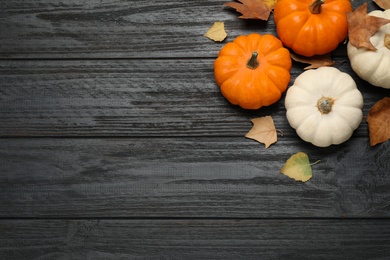 Photo of Fresh ripe pumpkins and autumn leaves on black wooden table, flat lay. Space for text