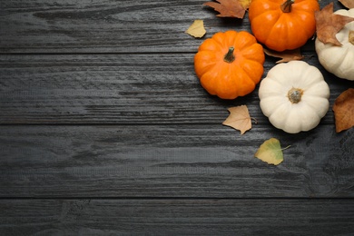 Fresh ripe pumpkins and autumn leaves on black wooden table, flat lay. Space for text