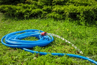 Water flowing from hose on green grass outdoors