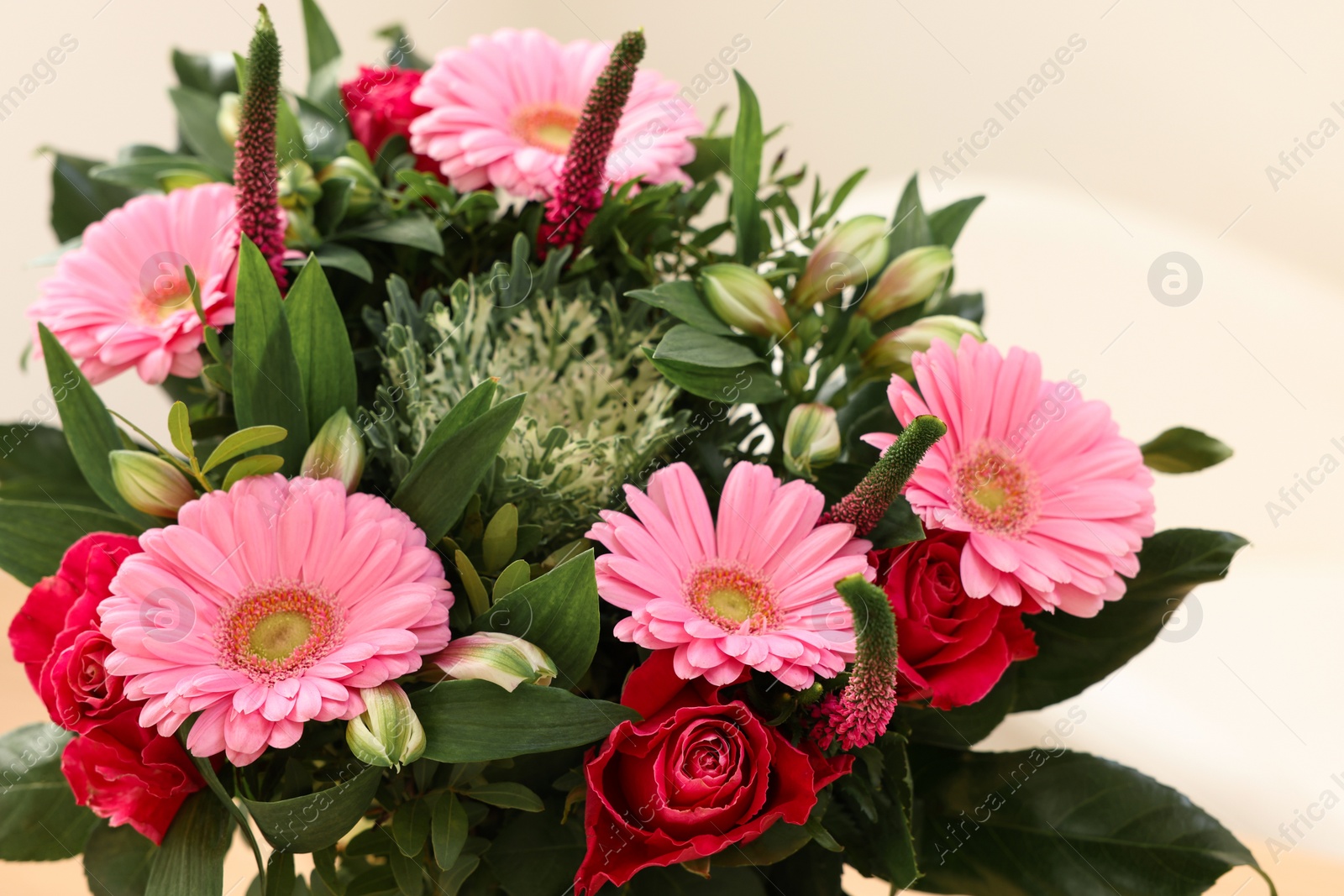 Photo of Bouquet of beautiful flowers on light background, closeup