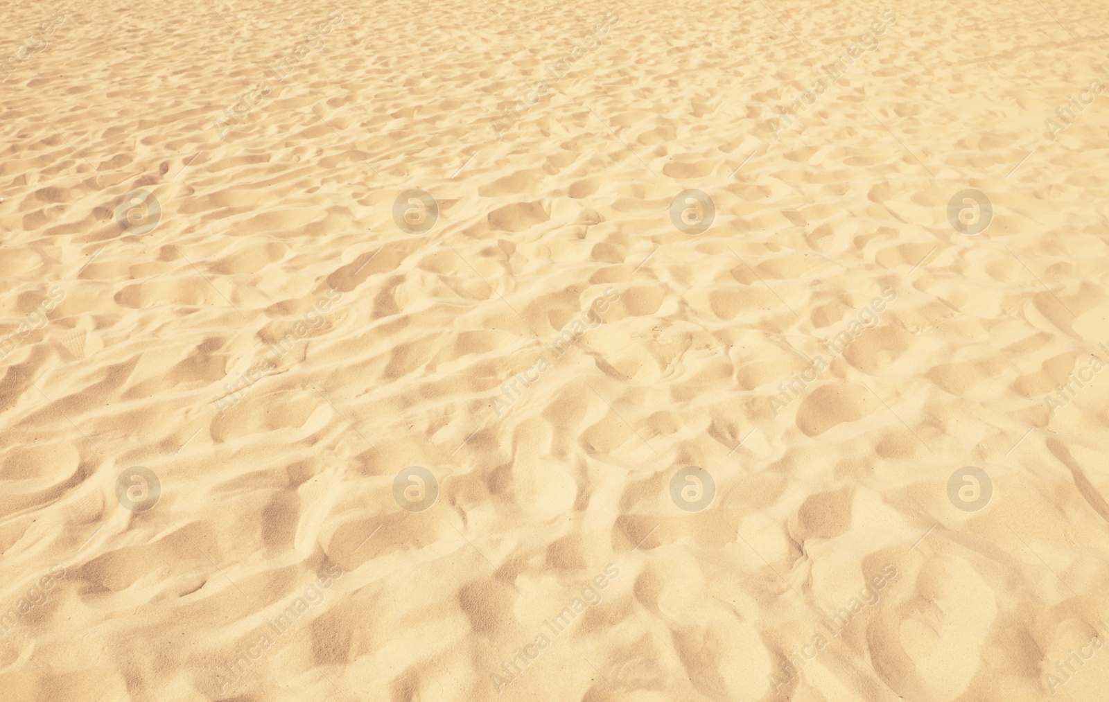 Photo of Golden beach sand on sunny day as background