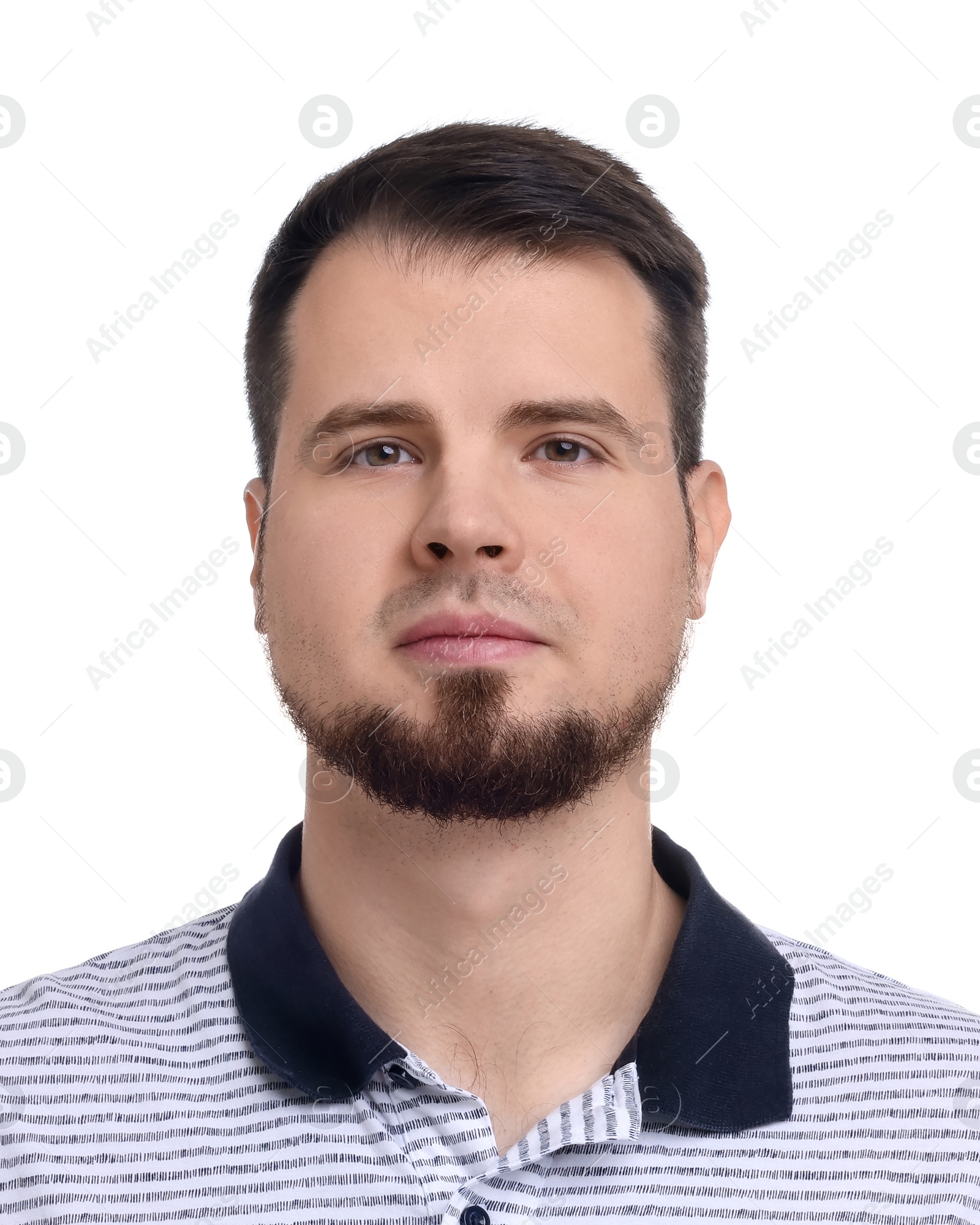 Image of Passport photo. Portrait of man on white background