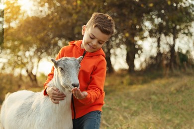 Farm animal. Cute little boy feeding goat on pasture, space for text