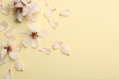 Photo of Spring blossoms and petals on beige background, top view. Space for text