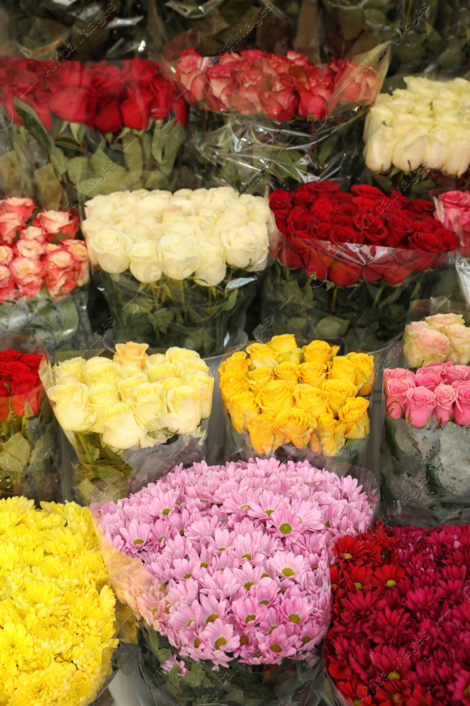 Photo of Assortment of bright flowers in shop. Floral decor