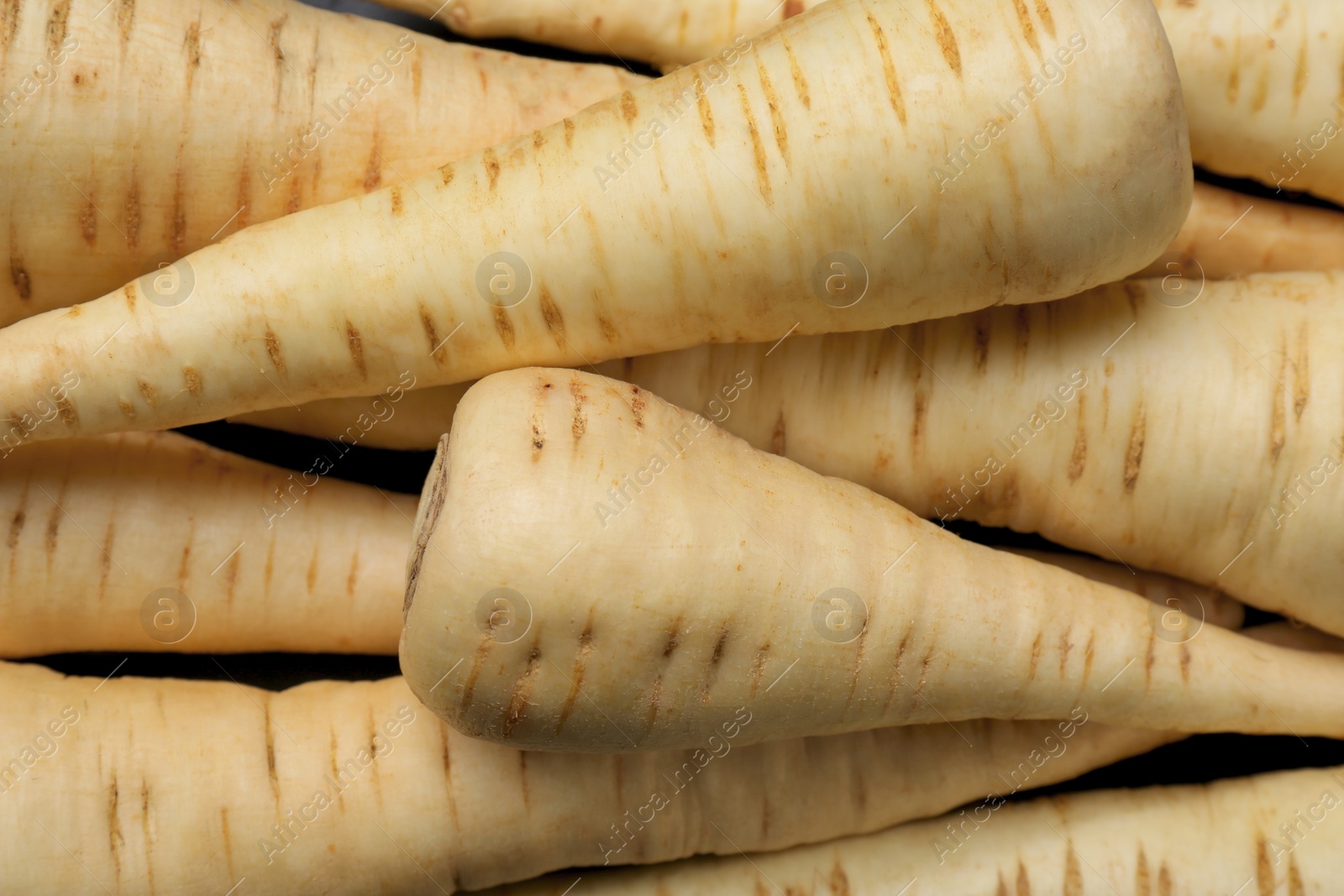 Photo of Heap of delicious fresh ripe parsnips as background, top view