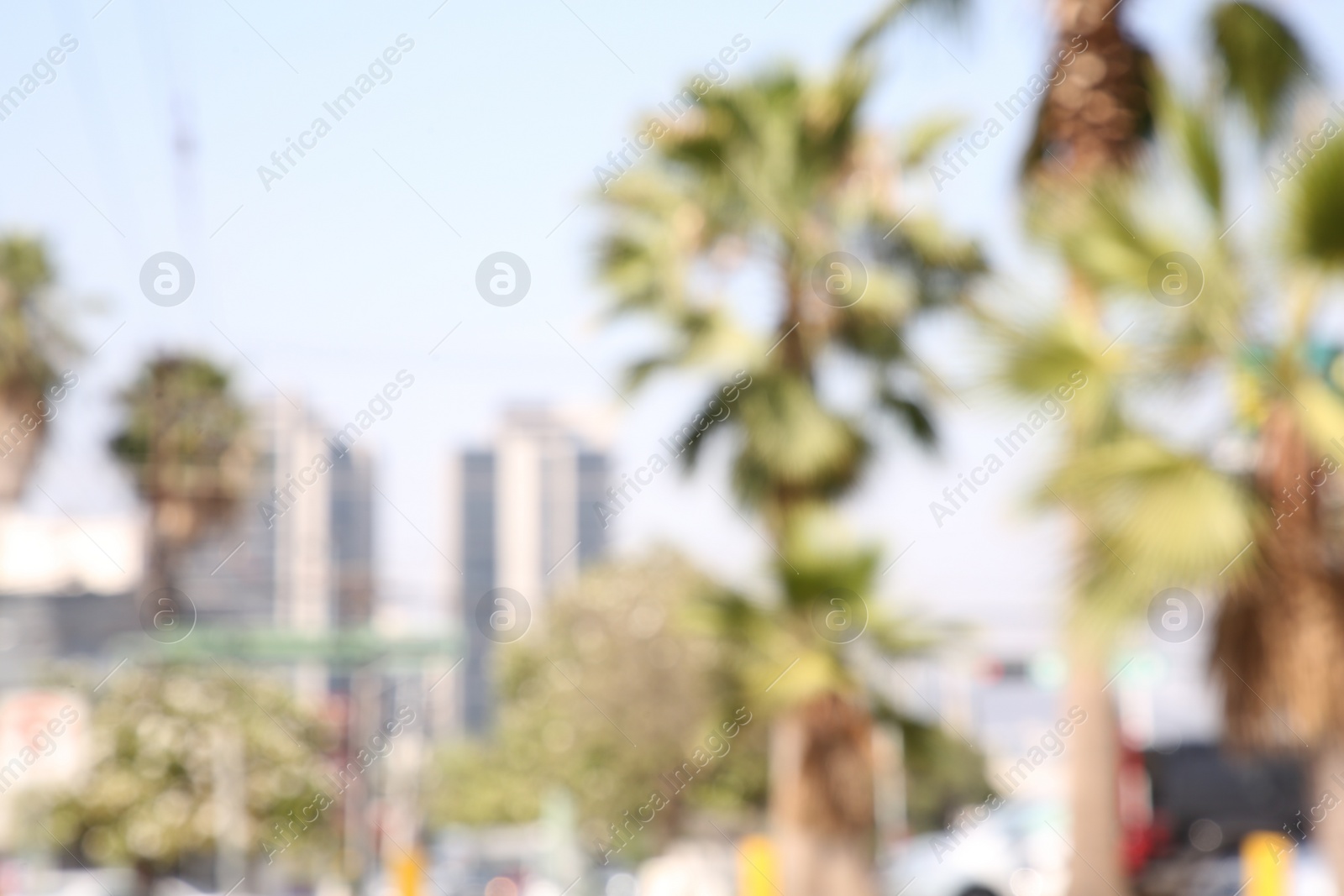 Photo of San Pedro Garza Garcia, Mexico – March 20, 2023: Blurred view of city with buildings and green palms