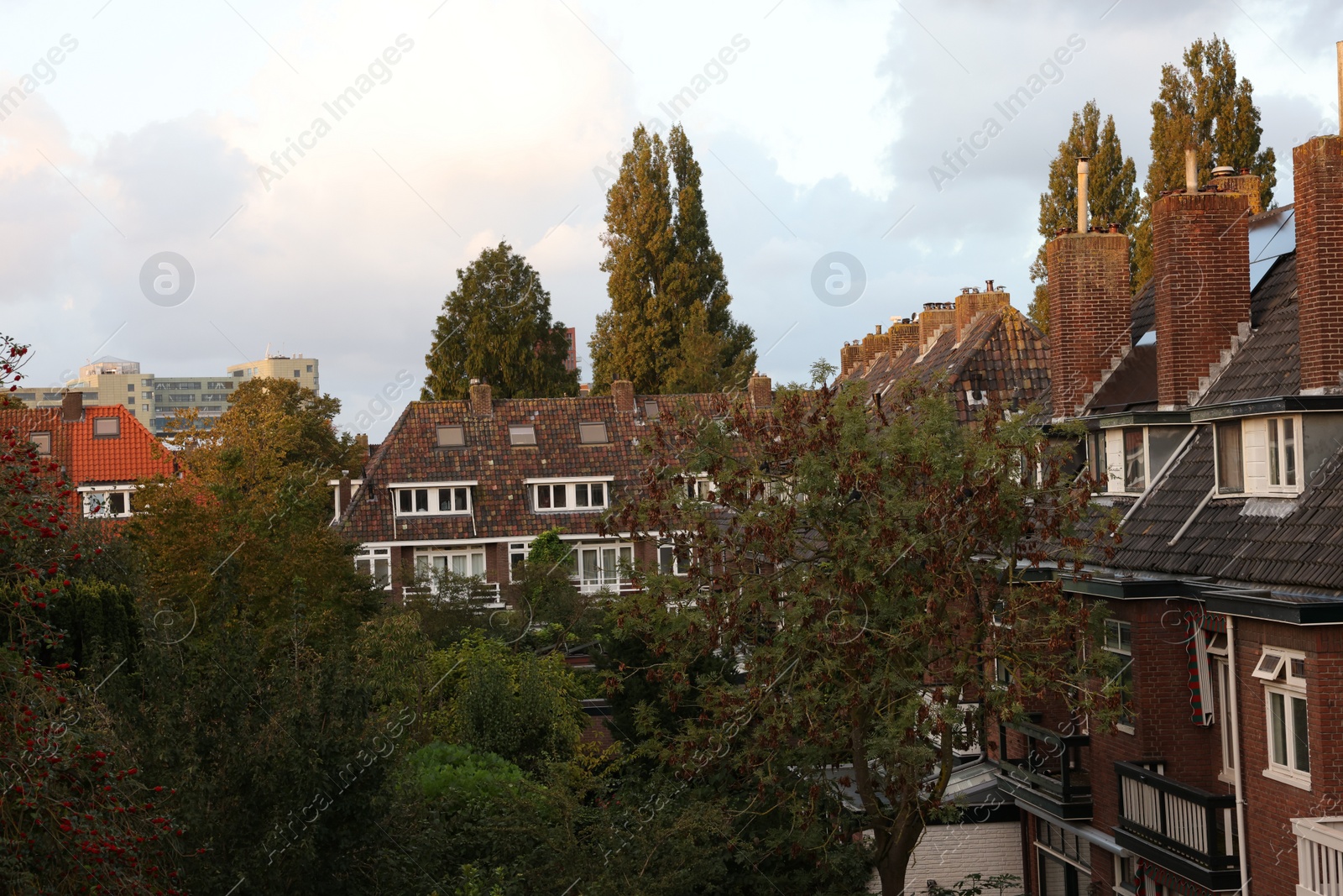 Photo of Beautiful buildings and trees in city under sky with clouds