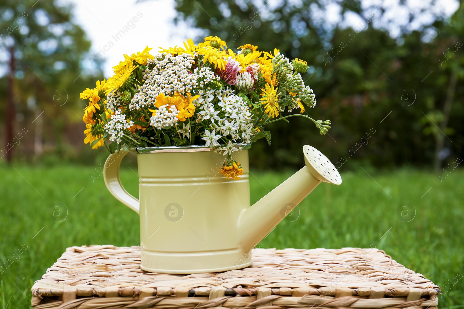 Photo of Pale yellow watering can with beautiful flowers on wicker box outdoors