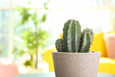 Photo of Beautiful cactus in flowerpot on table indoors