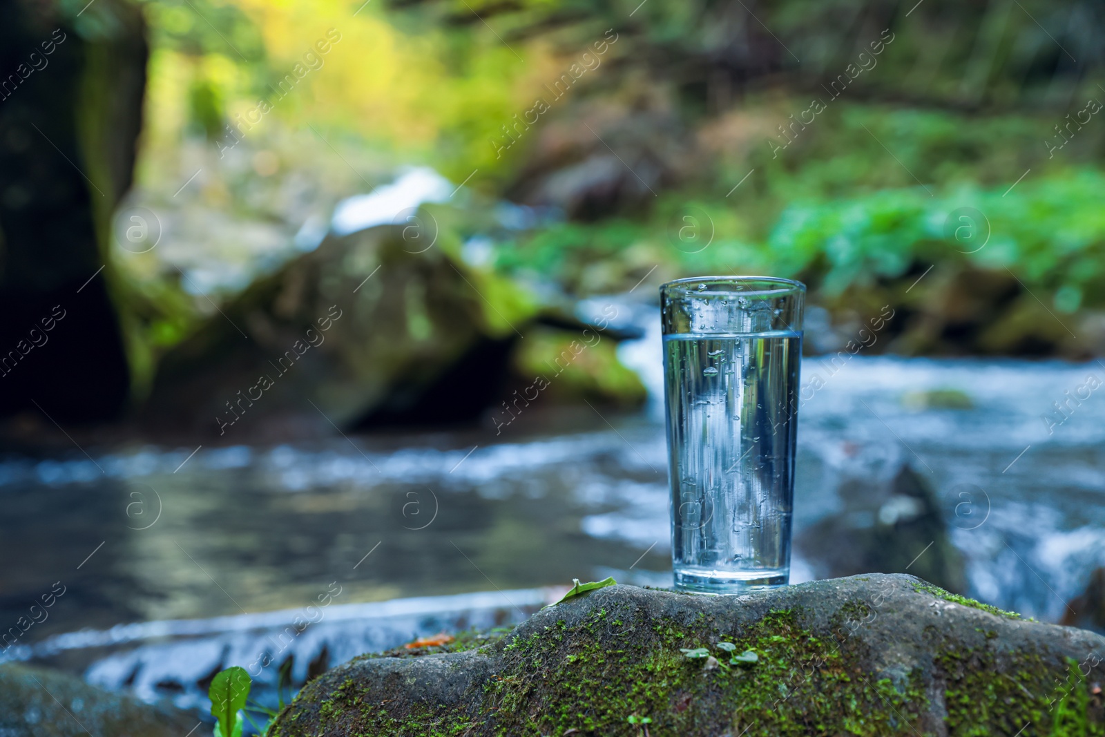 Photo of Glass of fresh water on stone with moss near stream. Space for text