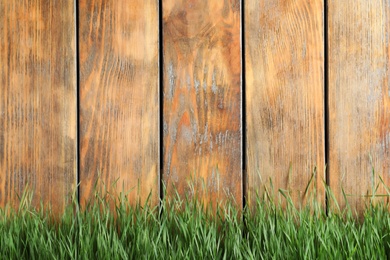 Photo of Fresh green grass near wooden fence. Space for text