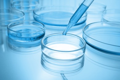 Dropping reagent into Petri dish with liquid on table, toned in blue. Laboratory glassware