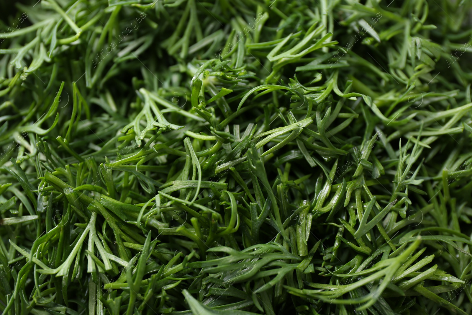 Photo of Fresh cut dill as background, closeup view