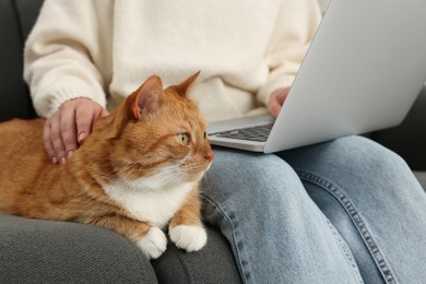 Woman working with laptop and petting cute cat on sofa at home, closeup