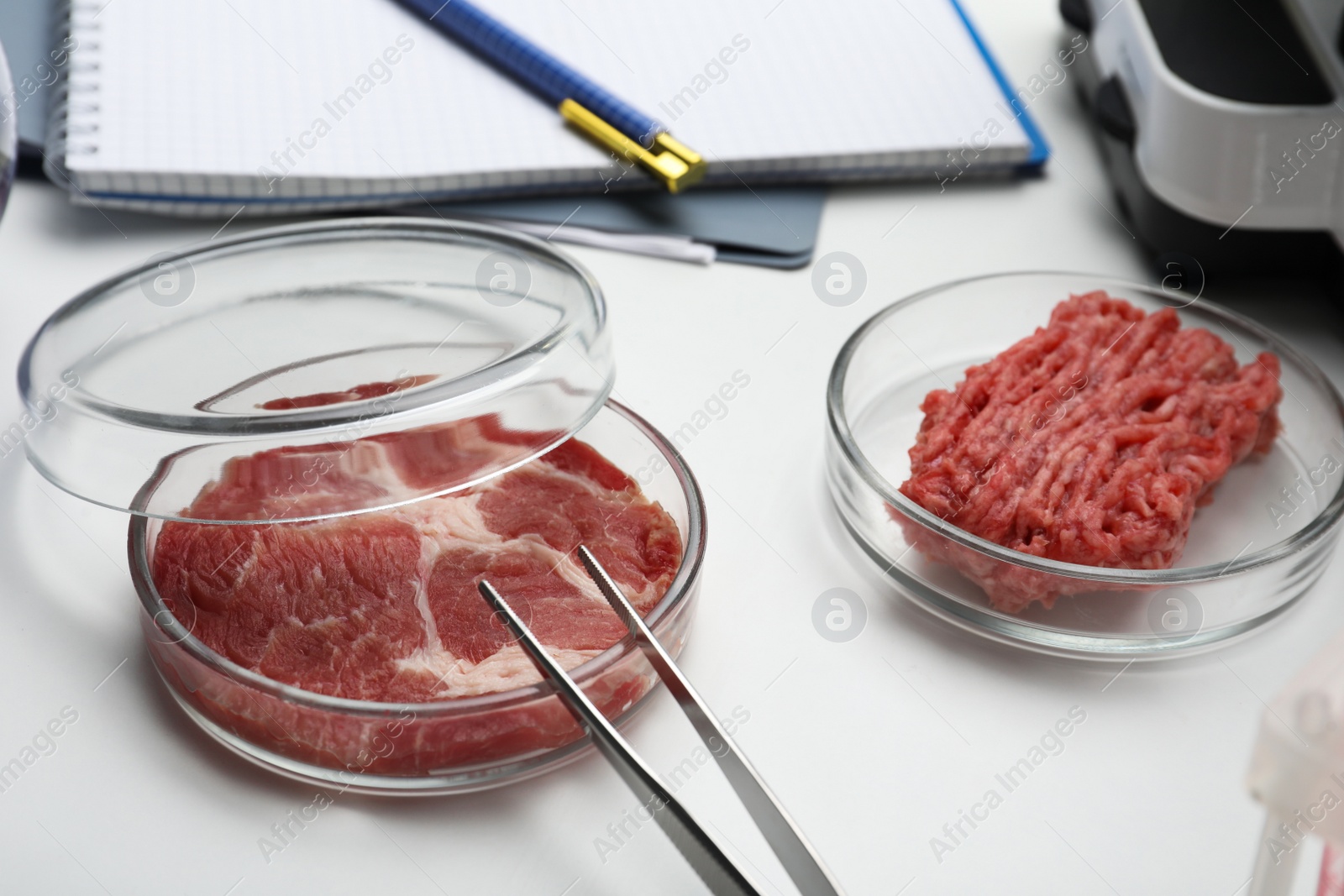 Photo of Samples of cultured meats on white lab table