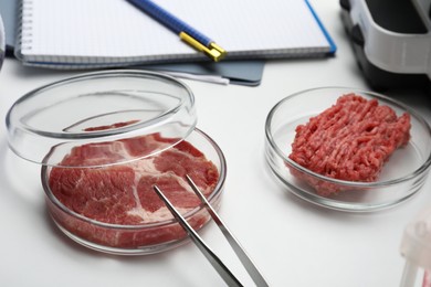 Photo of Samples of cultured meats on white lab table