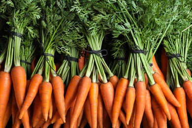 Bunches of tasty raw carrots as background, top view