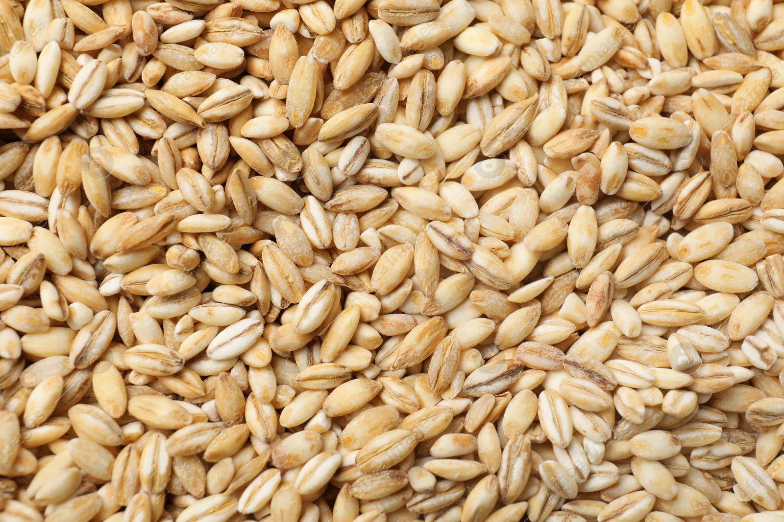 Photo of Dry pearl barley as background, top view